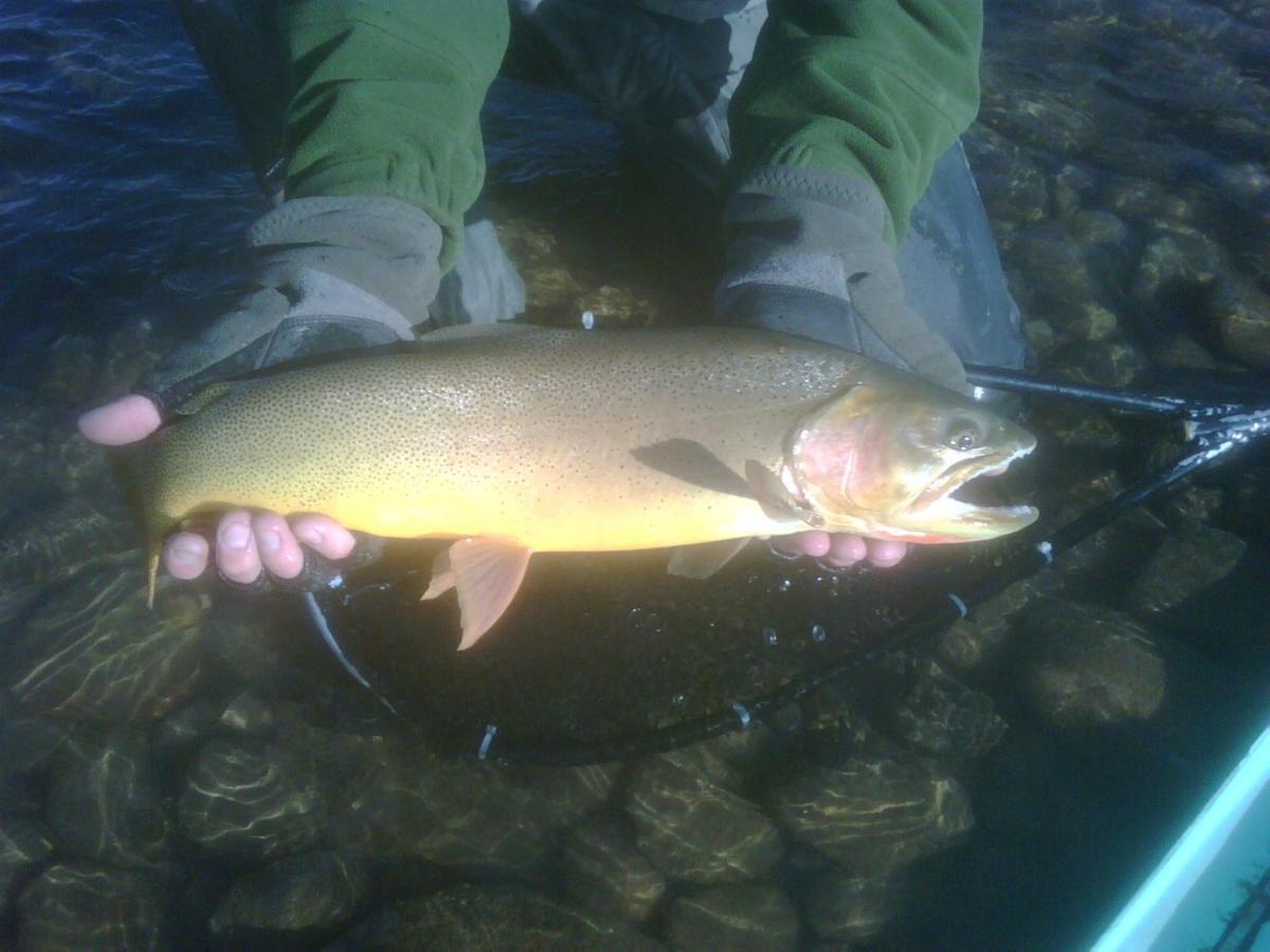 Spring Creek Ranch